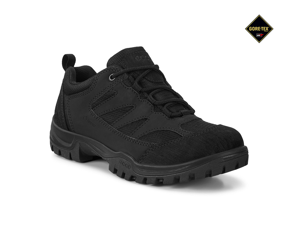 Professional Xpedition M Low GTX Svart, 42