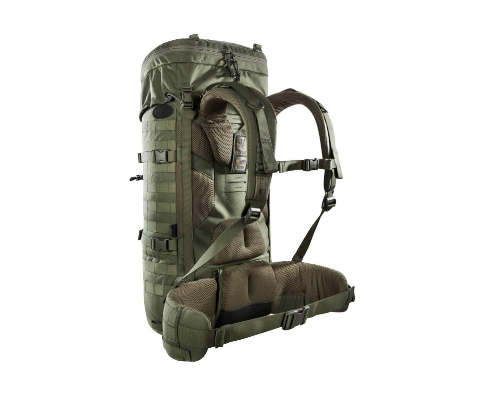 Base Pack Olive