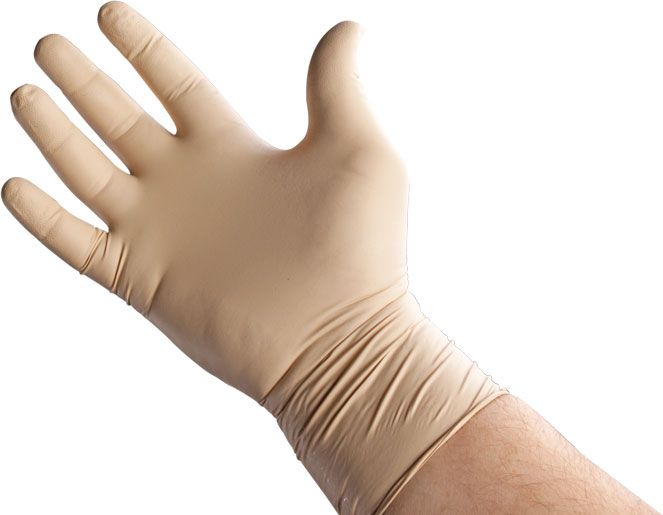 Bear Claw Glove Kit - Large