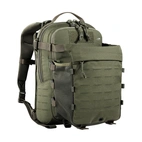 Assault Pack 12 Olive