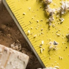 Notebook Soft Cover, 11,7 x 18,4 cm, Yellow