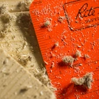 Mini notebook 12 x 8,5 cm  - Universal - Orange - 3 pack