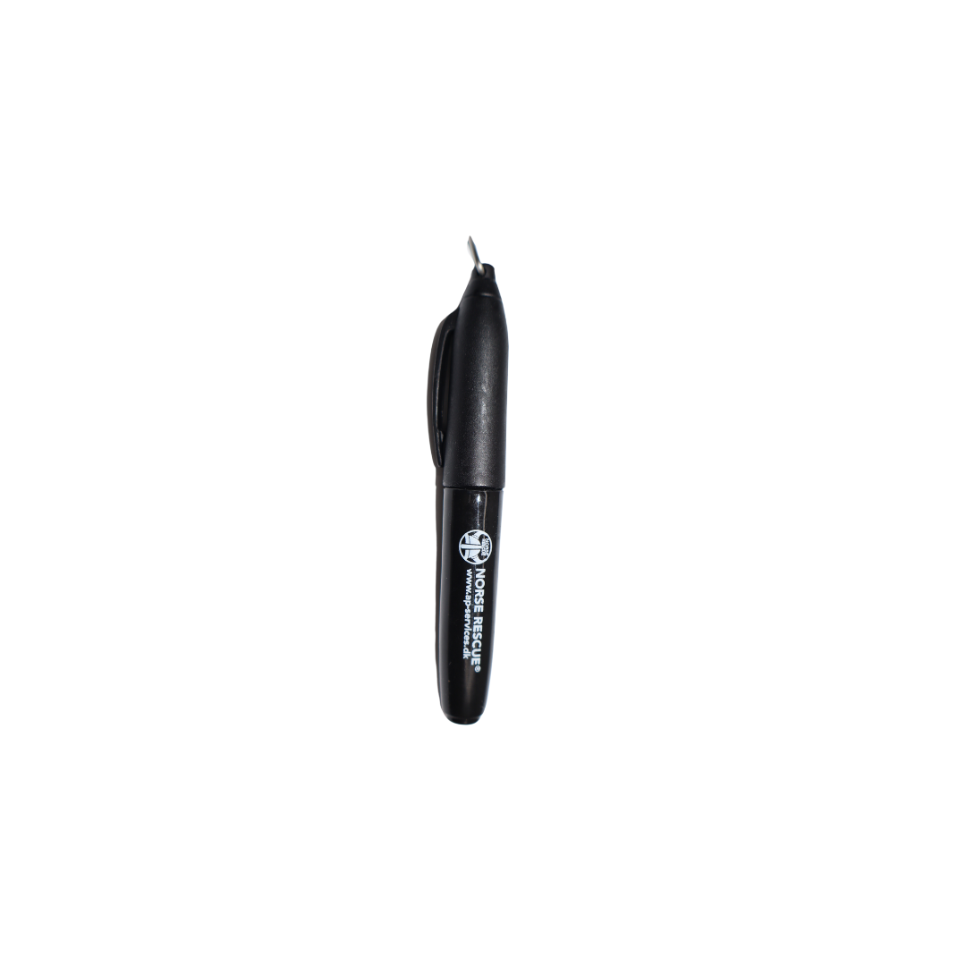 Permanent marker