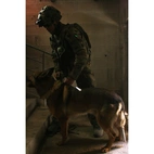 Cyalume Chemlight 6" White Lightstick 8H