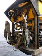 HOLTON - Black Rubber