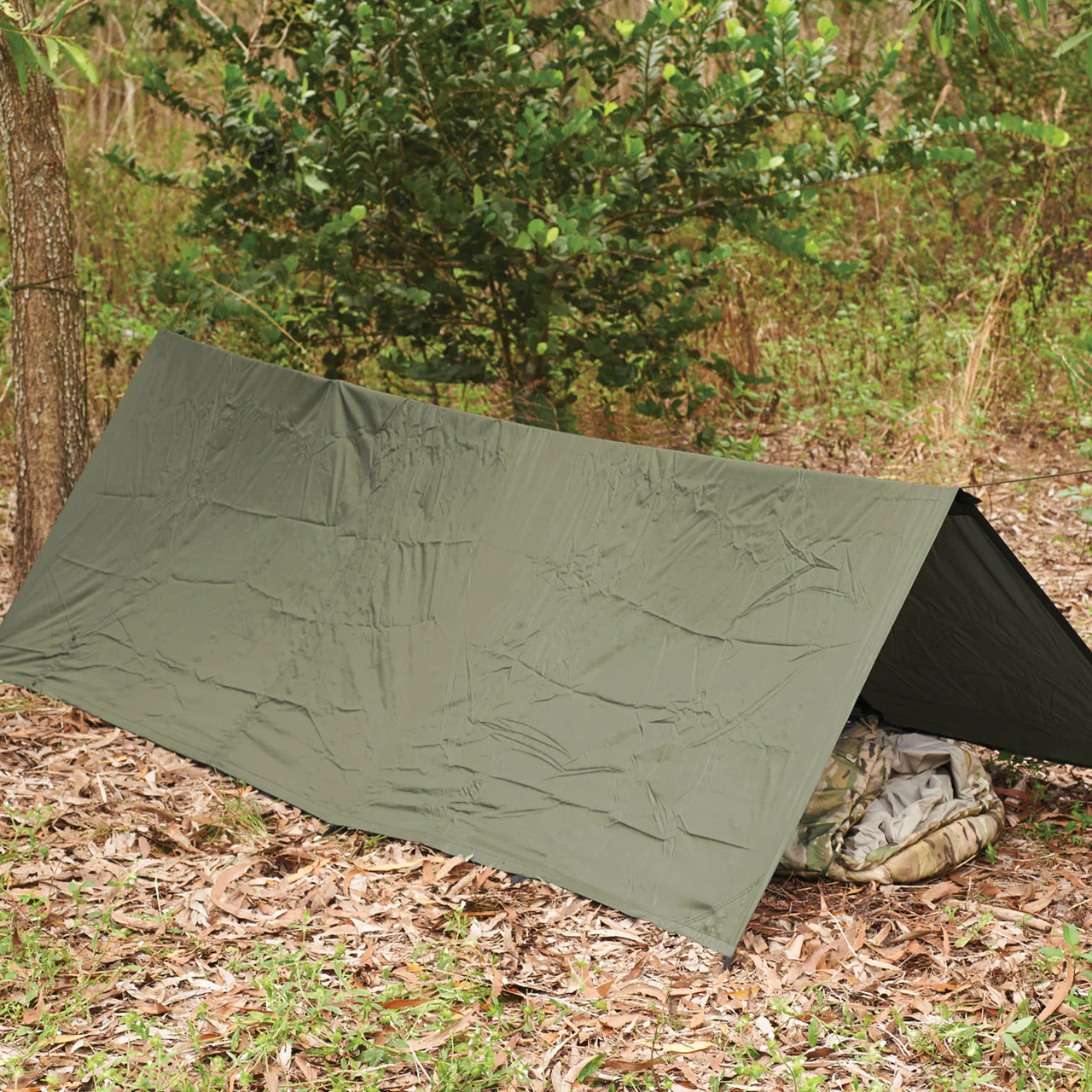 The Stasha G2 Olive