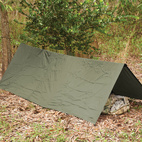 The Stasha G2 Olive