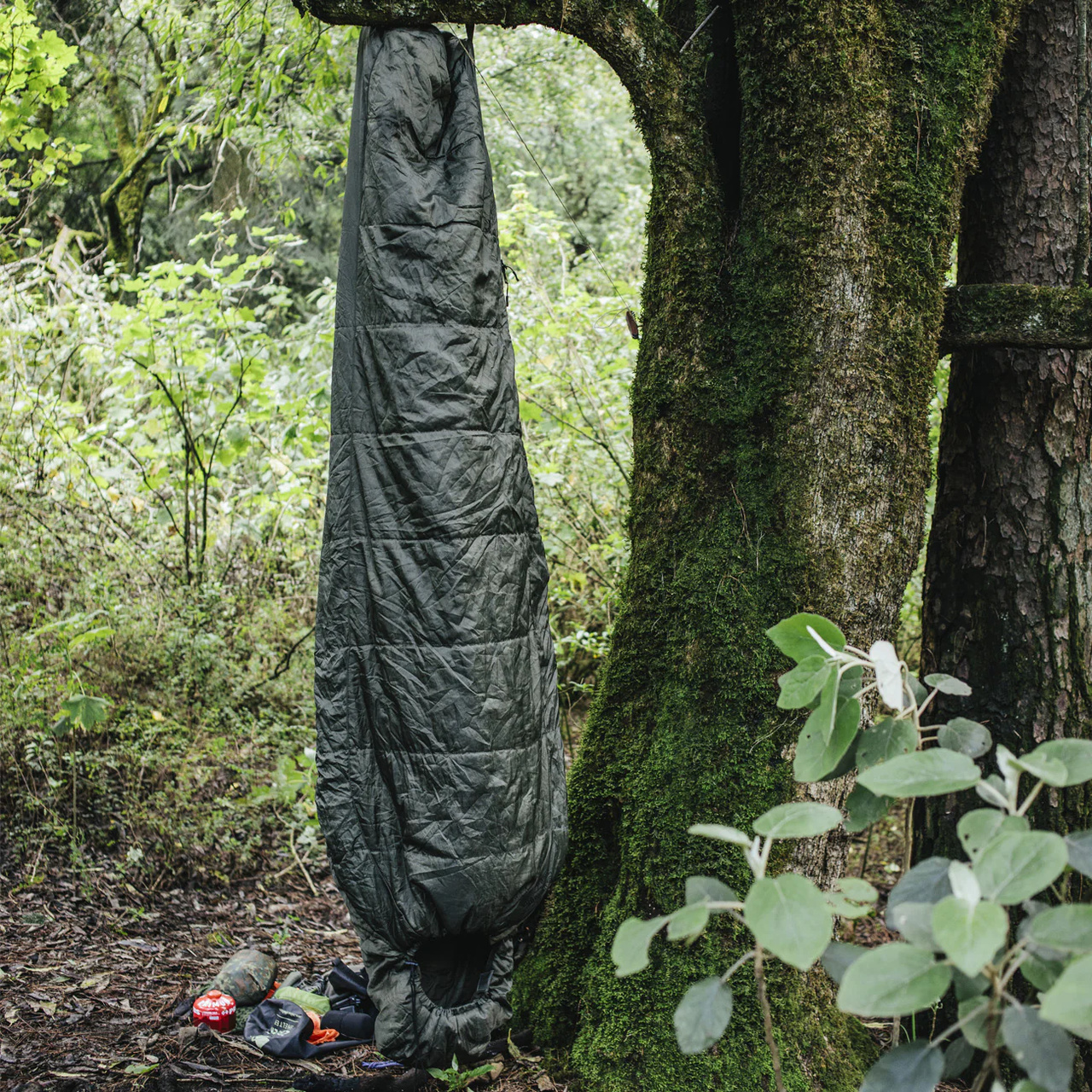 Sleeper Lite WGTE Olive Left