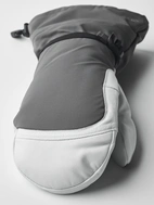 Winter Expedition Mitt 9