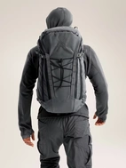 Assault Pack 30 Wolf