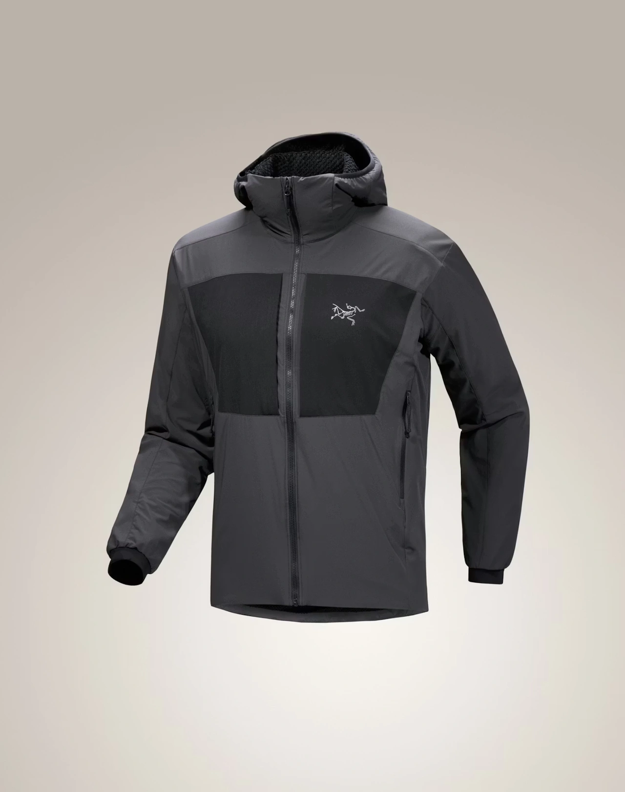 PRACTITIONER AR HOODY - Carbon Copy S