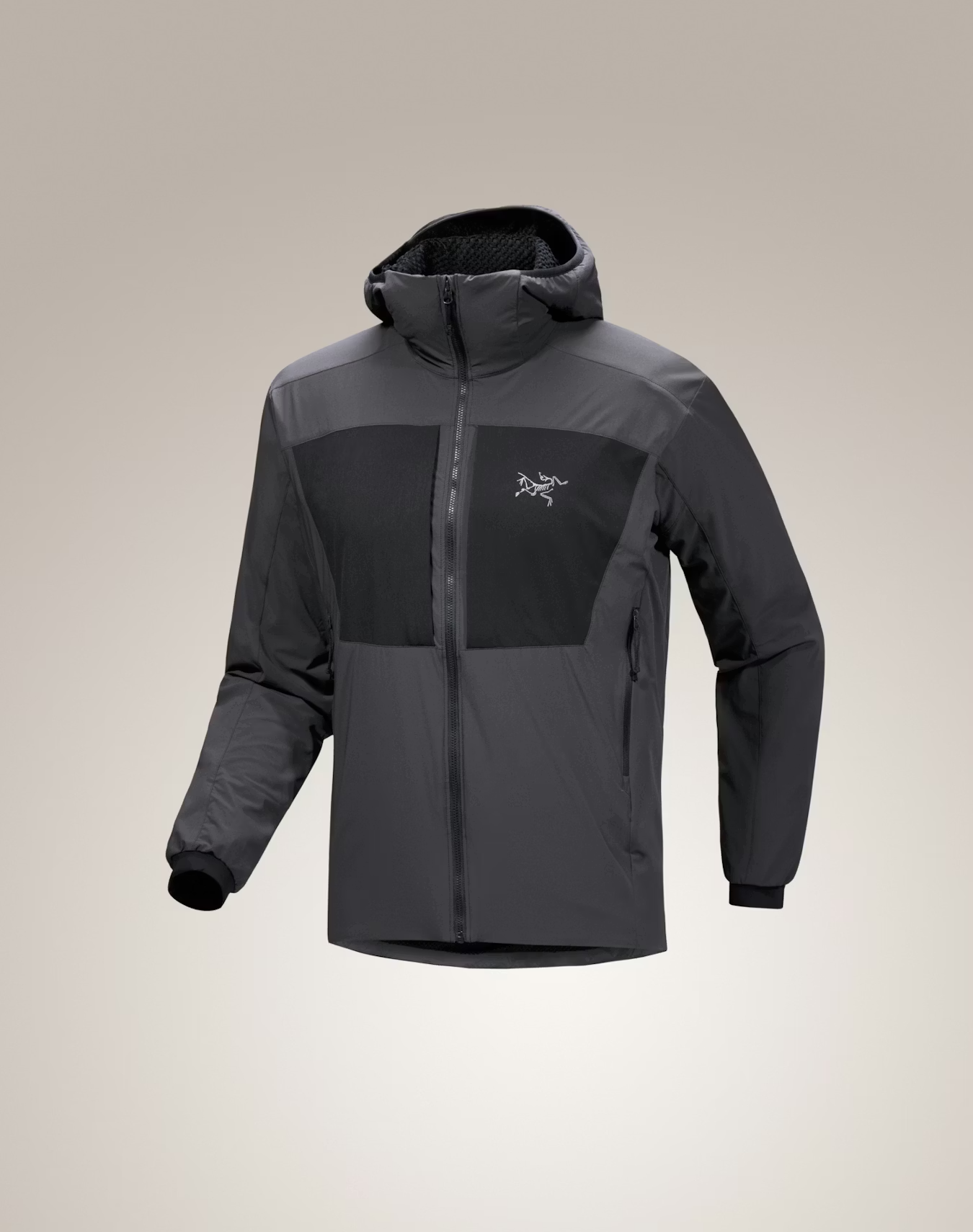 PRACTITIONER AR HOODY - Carbon Copy S