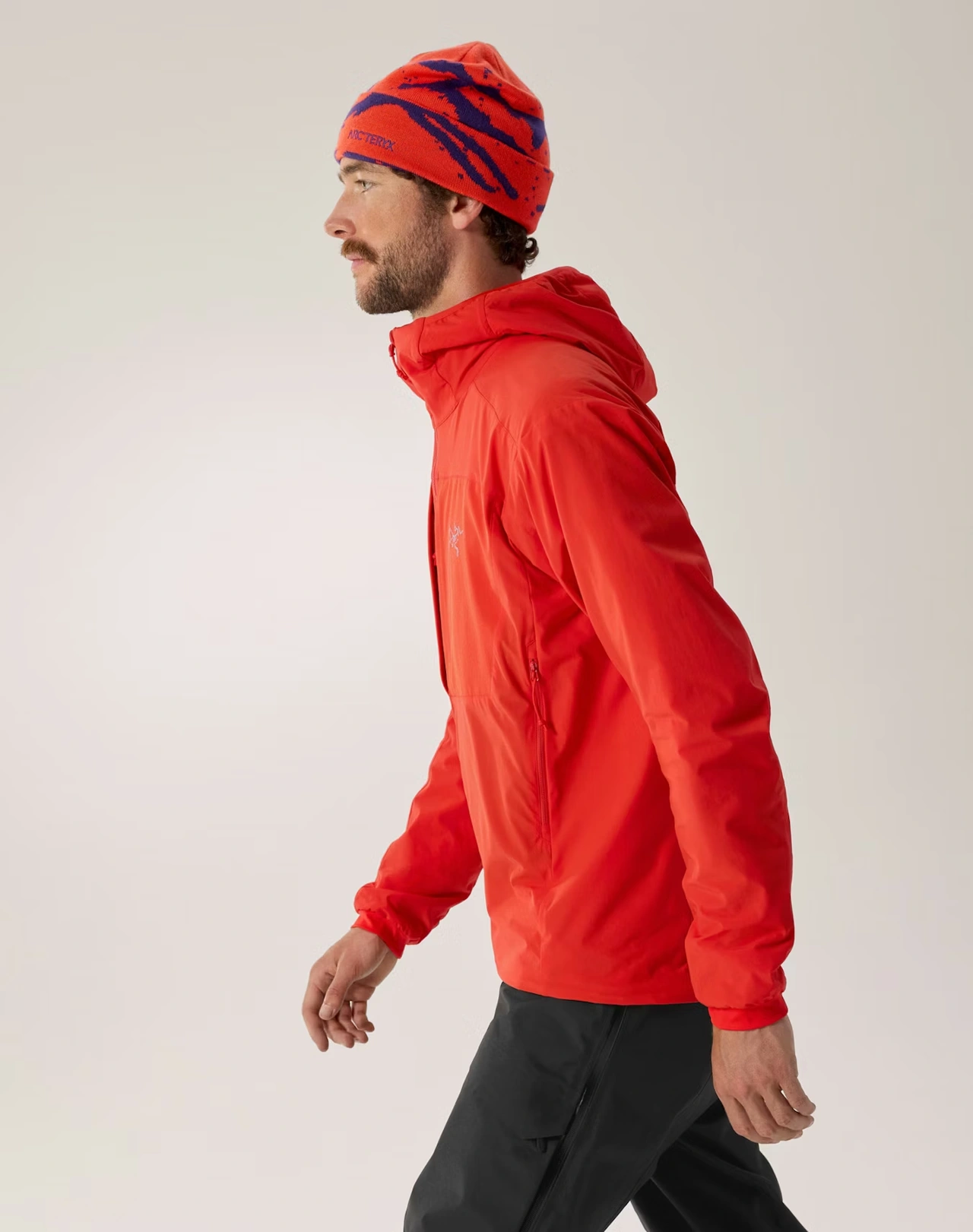 PRACTITIONER AR HOODY - Dynasty