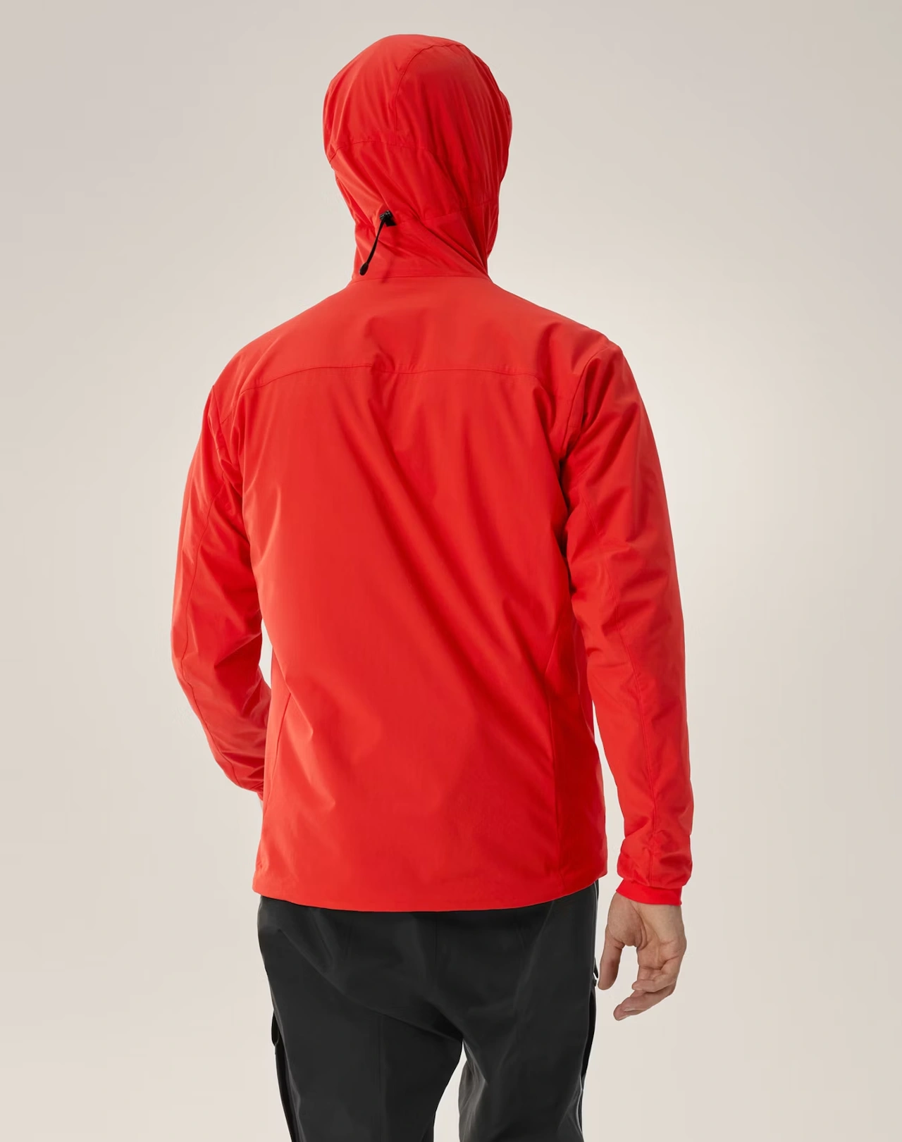 PRACTITIONER AR HOODY - Dynasty