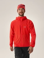 PRACTITIONER AR HOODY - Dynasty