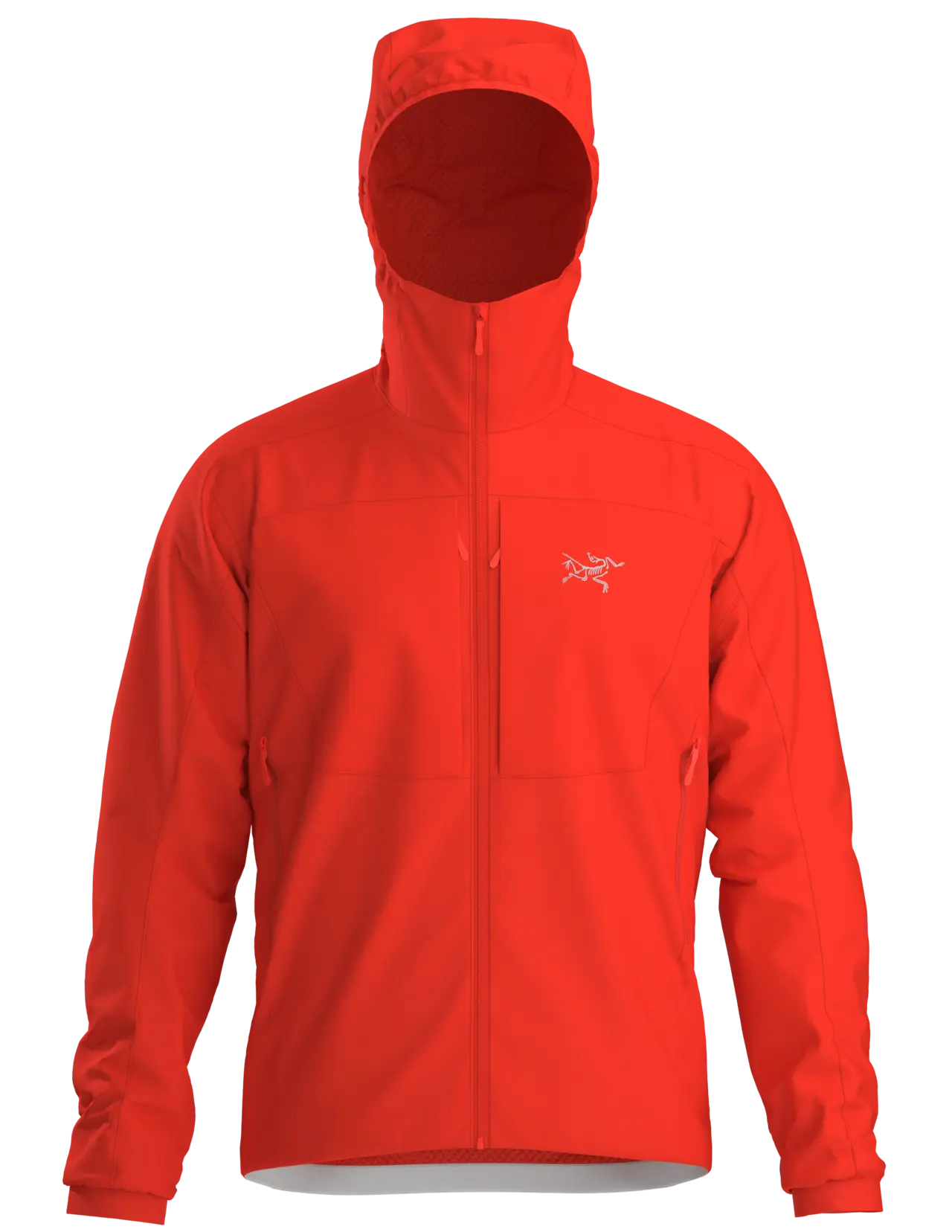 PRACTITIONER AR HOODY - Dynasty