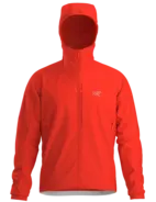 PRACTITIONER AR HOODY - Dynasty