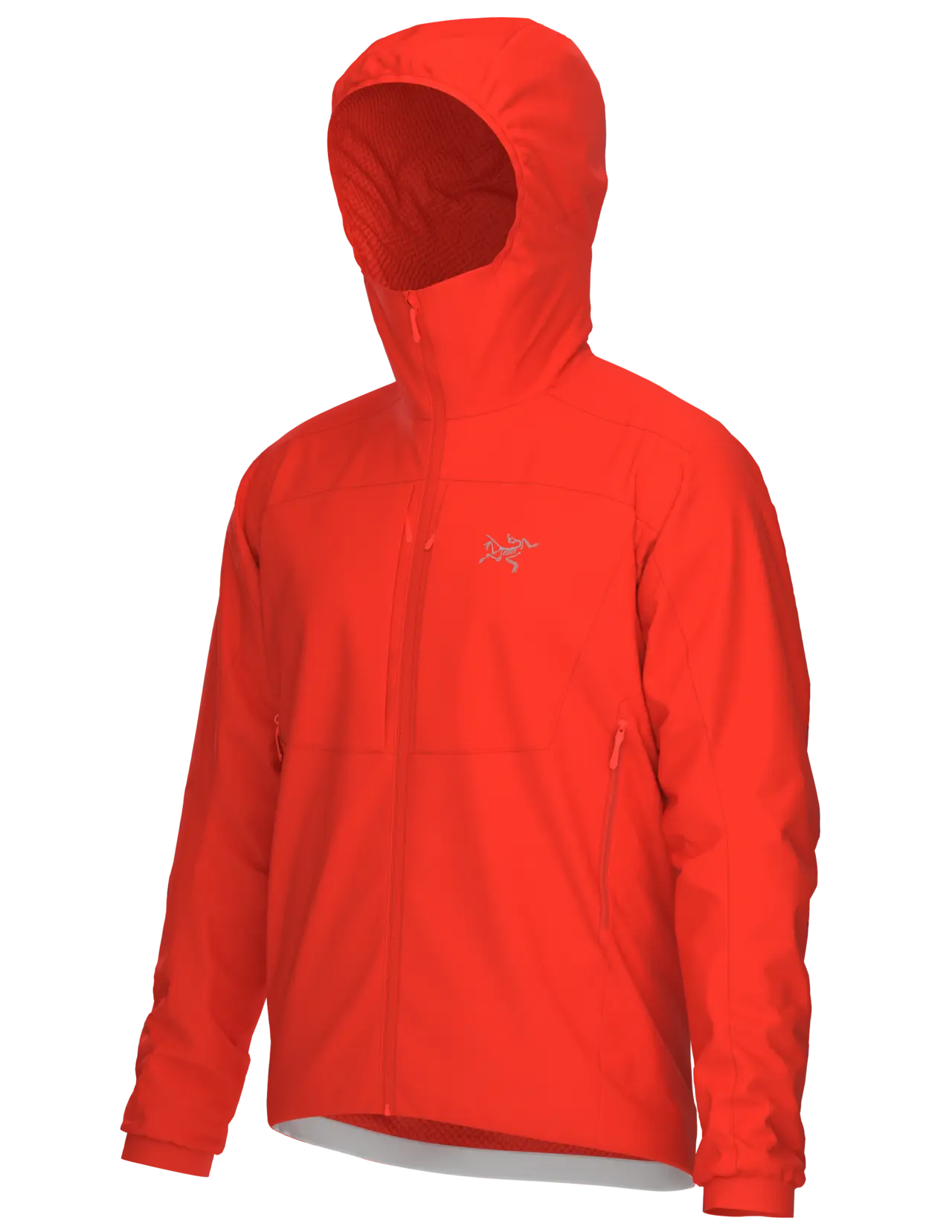 PRACTITIONER AR HOODY - Dynasty