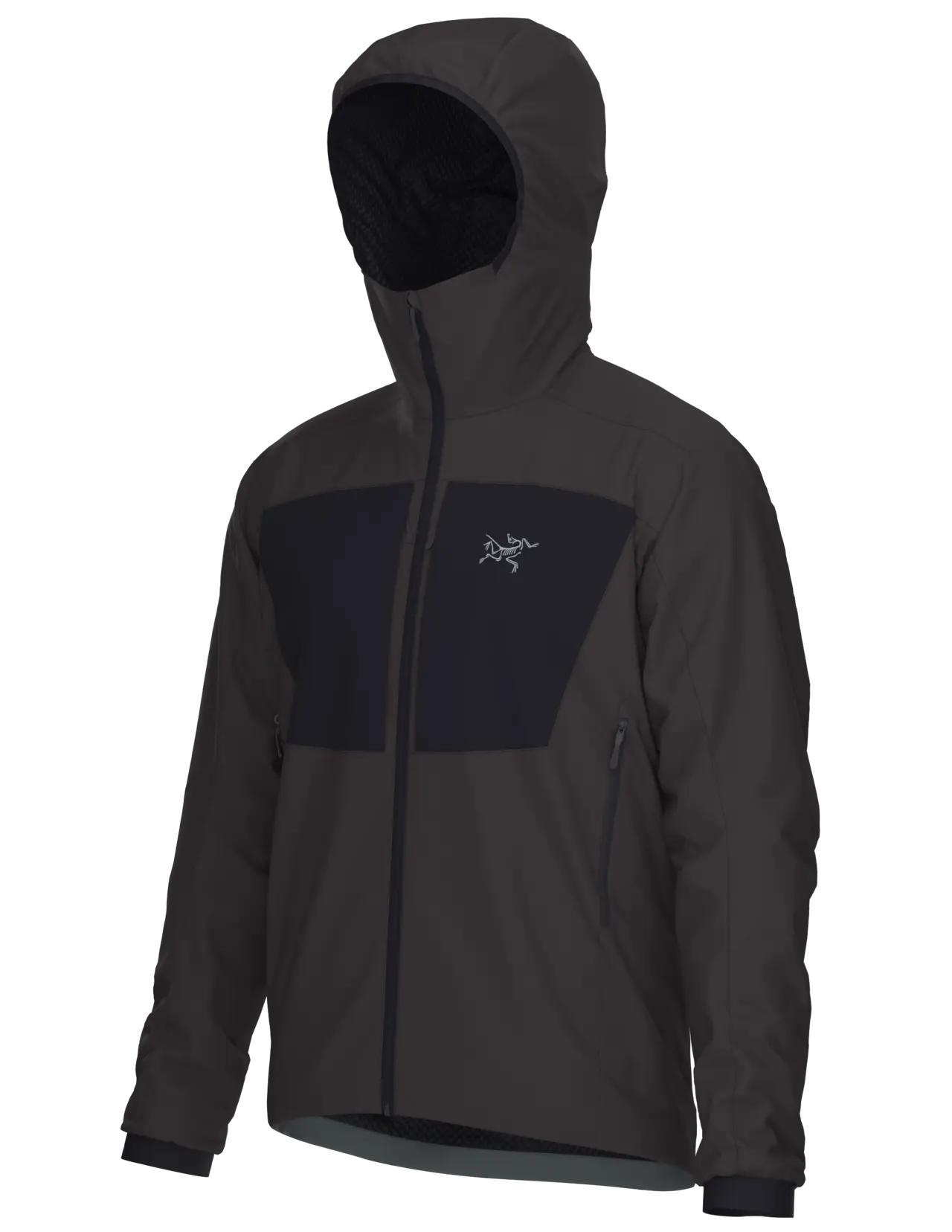 PRACTITIONER AR HOODY - Carbon Copy M